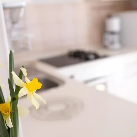Apartman Julijana Krk Town